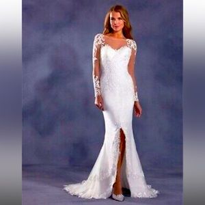 Gorgeous Alfred Angelo Disney edition queen elsa gown